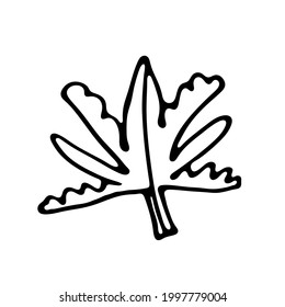 Einmaliges handgezeichnetes Blatt ungewöhnlicher Pflanzen. Im Doodle-Stil, Umriss einzeln auf weißem Hintergrund. Design süße dekorative Elemente für Karte, Poster, Social Media-Banner, Aufkleber. Vektorgrafik.  