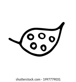 Einmaliges handgezeichnetes Blatt ungewöhnlicher Pflanzen. Im Doodle-Stil, Umriss einzeln auf weißem Hintergrund. Design süße dekorative Elemente für Karte, Poster, Social Media-Banner, Aufkleber. Vektorgrafik.  