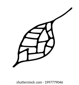 Hoja dibujada a mano de una planta inusual. En estilo doodle, contorno aislado en fondo blanco. Diseñar un adorable elemento decorativo para tarjetas, afiches, banner de medios sociales, pegatinas. Ilustración vectorial.  