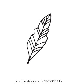 Single hand drawn leaf for winter and autumn decoration. Doodle vector illustration. Isolated on white background