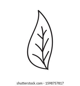 Single hand drawn leaf for winter and autumn decoration. Doodle vector illustration. Isolated on white background