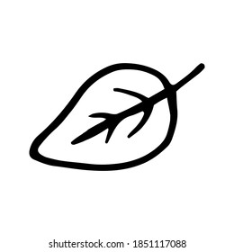 Hojas dibujadas a mano para el invierno y la decoración de otoño. Ilustración del vector Doodle. Aislado sobre fondo blanco