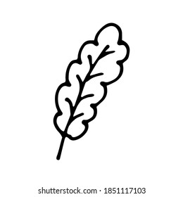 Single hand drawn leaf for winter and autumn decoration. Doodle vector illustration. Isolated on white background