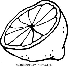 Single hand drawn lemon for  cards, posters, recipe, stickers, textile of apparel, cookbook. Isolated on white background. Doodle vector illustration.