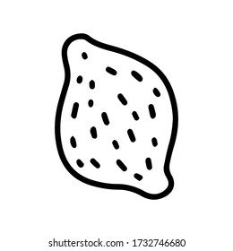 Single hand drawn lemon citrus. Doodle stock vector illustration. element for posters, stickers and seasonal design. Isolated on white background. Sketch elements set for graphic and web design.