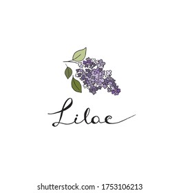 Single hand drawn lilac with hand written name