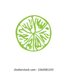 Single hand drawn lime slice. Doodle vector illustration.