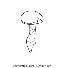 Single hand drawn mushroom for autumn decoration. Doodle vector illustration. Isolated on a white background.