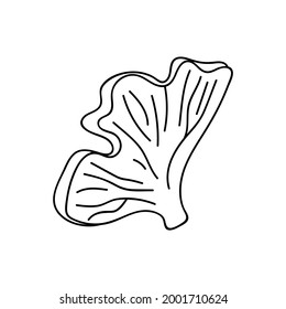 Single hand drawn mushroom for autumn decoration. Doodle vector illustration. Isolated on a white background.