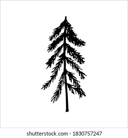 Einzelhandgezeichnet Neujahr und Weihnachtskiefern. Doodle Vektorgrafik für Wintergrußkarten, Poster, Aufkleber und saisonales Design.