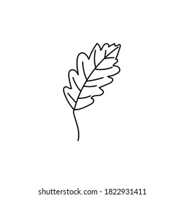 Single hand drawn oak leaf doodle vector illustration