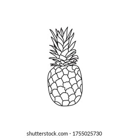 Single hand drawn pineapple doodle vector illustration.