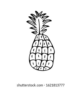 Single hand drawn pineapple isolated on a white background. Doodle, simple outline illustration.