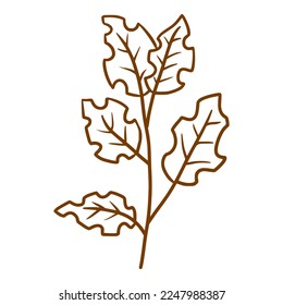 planta dibujada a mano única con ilustración de hojas rotas
