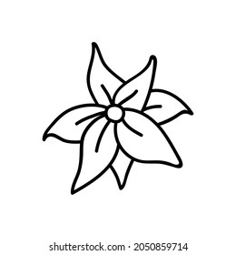 Single hand drawn poinsettia. Holidays doodles vector illustration. Isolated on a white background.