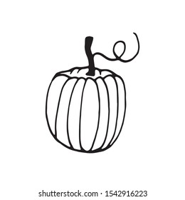 Single hand drawn pumpkin for greeting cards, posters, recipe, culinary design. Isolated on white background. Doodle vector illustration.