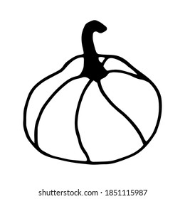 Calabaza dibujada a mano única para tarjetas de felicitación, afiches, receta, diseño culinario. Aislado sobre fondo blanco. Ilustración del vector Doodle.
