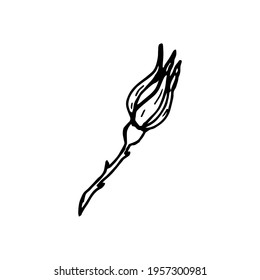 Single hand drawn rosebud with thorns. Doodle vector illustration. Isolated on white background. Icon vector illustration design template