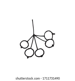 Single hand drawn rowan tree berries illustration in doodle style in vector. Rowan berry.