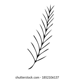 Single hand drawn scandi floral element.  Doodle vector illustration for greeting cards, wedding designs and logos.