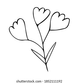 Single hand drawn scandi floral element.  Doodle vector illustration for greeting cards, wedding designs and logos.