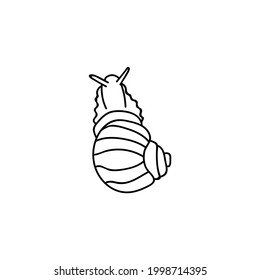 Single hand drawn snail. Doodle vector illustration. Isolated on a white background.