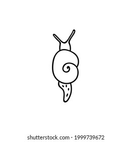 Einhandgezeichnete Schnecke. Doodle, Vektorgrafik. Einzeln auf weißem Hintergrund. Goblincore-Stil.