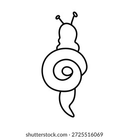 Caracol dibujado a mano. Vista superior. Ilustración vectorial Doodle. Aislado en un fondo blanco.