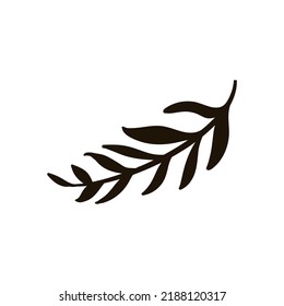 Single hand drawn spinach. Doodle vector illustration. Isolated on white background.