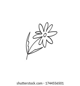 Ilustración vectorial de la flor de verano dibujada a mano única