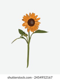 Vector de girasol dibujado a mano