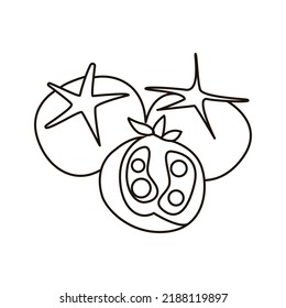 Single hand drawn tomatoes. Doodle vector illustration. Isolated on white background.