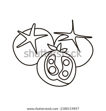 Single hand drawn tomatoes. Doodle vector illustration. Isolated on white background.