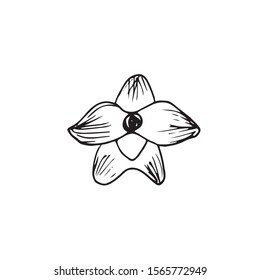 Single hand drawn tropic flower for greeting cards, posters, stickers and seasonal design. Isolated on white background. Doodle vector illustration.