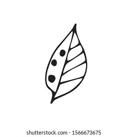 Single hand drawn tropic leaf for greeting cards, posters, stickers and seasonal design. Isolated on white background. Doodle vector illustration.