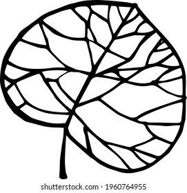 Single hand drawn tropical leaf of palm. In doodle style, black outline isolated on a white background. Design cute element for card, poster, social media banner, sticker. Vector illustration.