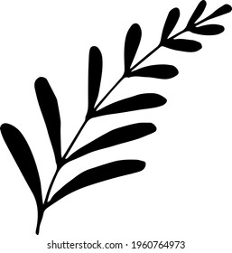 Single hand drawn tropical leaf of palm. In doodle style, black outline isolated on a white background. Design cute element for card, poster, social media banner, sticker. Vector illustration.