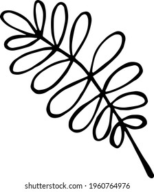 Single hand drawn tropical leaf of palm. In doodle style, black outline isolated on a white background. Design cute element for card, poster, social media banner, sticker. Vector illustration.