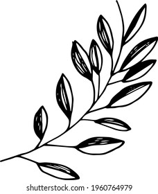 Single hand drawn tropical leaf of palm. In doodle style, black outline isolated on a white background. Design cute element for card, poster, social media banner, sticker. Vector illustration.