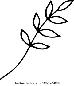 Single hand drawn tropical leaf of palm. In doodle style, black outline isolated on a white background. Design cute element for card, poster, social media banner, sticker. Vector illustration.