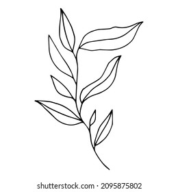 Single hand drawn tropical leaf. In doodle style, black outline isolated on a white background. Design cute element for card, poster, social media banner, sticker. Vector illustration.