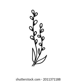 Einhandgezogener Zweig. Doodle, Vektorgrafik. Einzeln auf weißem Hintergrund.