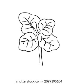 Ropa dibujada con una sola mano. Ilustración del vector Doodle. Elementos decorativos del hogar