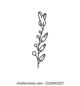 Single hand drawn twig. Doodle vector illustration. Isolated on a white background.