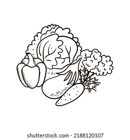 Verduras de una sola mano. Ilustración del vector Doodle. Aislado sobre fondo blanco.