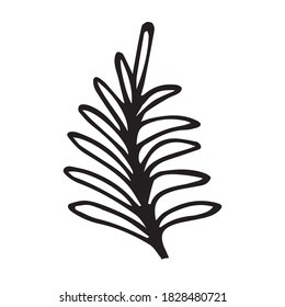 Single hand drawn winter branch. Doodle vector illustration for seasonal design. Isolated on white background for logo, postcards, packaging.