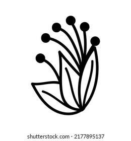 Single hand drawn winter branch. Doodle vector illustration. Isolated on white background.