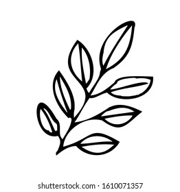 Single hand-drawn branches with leaves for decorating cards, presentations, invitations. Doodle vector illustration. Isolated on white background