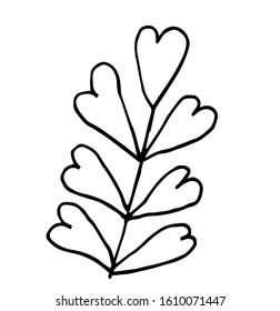 Single hand-drawn branches with leaves for decorating cards, presentations, invitations. Doodle vector illustration. Isolated on white background