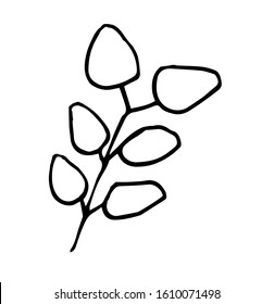 Single hand-drawn branches with leaves for decorating cards, presentations, invitations. Doodle vector illustration. Isolated on white background